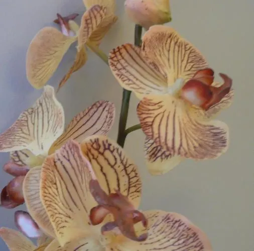 Szálloda Aion Luxury Návplio