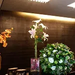 Aion Luxury מלון נאפפליו