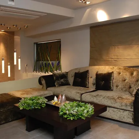 Aion Luxury Hotell 4*