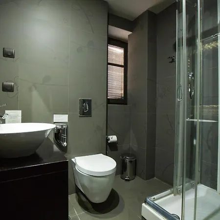 호텔 Aion Luxury 4*